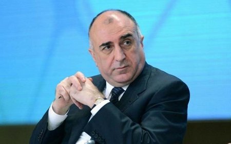 Elmar Məmmədyarov Türkiyəyə gedib