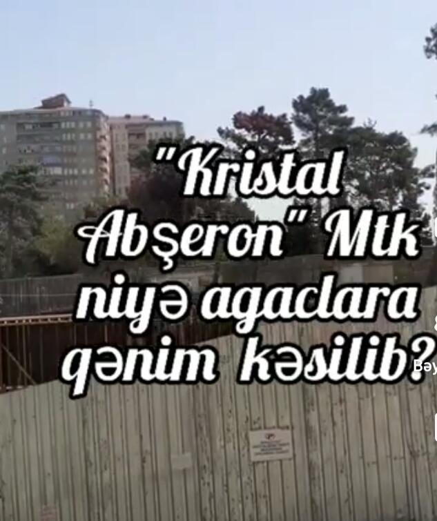 "Kristal Abşeron" MTK niyə ağaclara qənim kəsilib?-Video